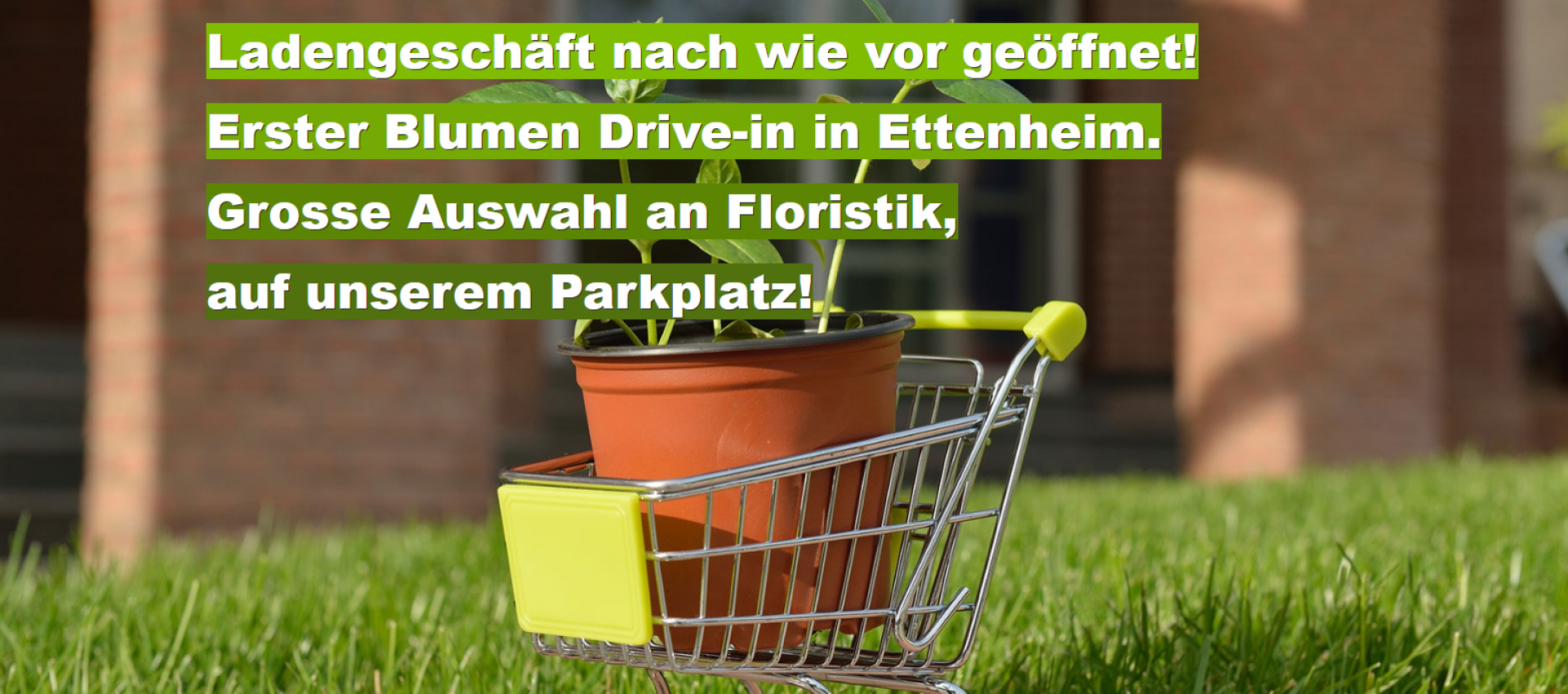 Erster Blumen Drive-In in Ettenheim!